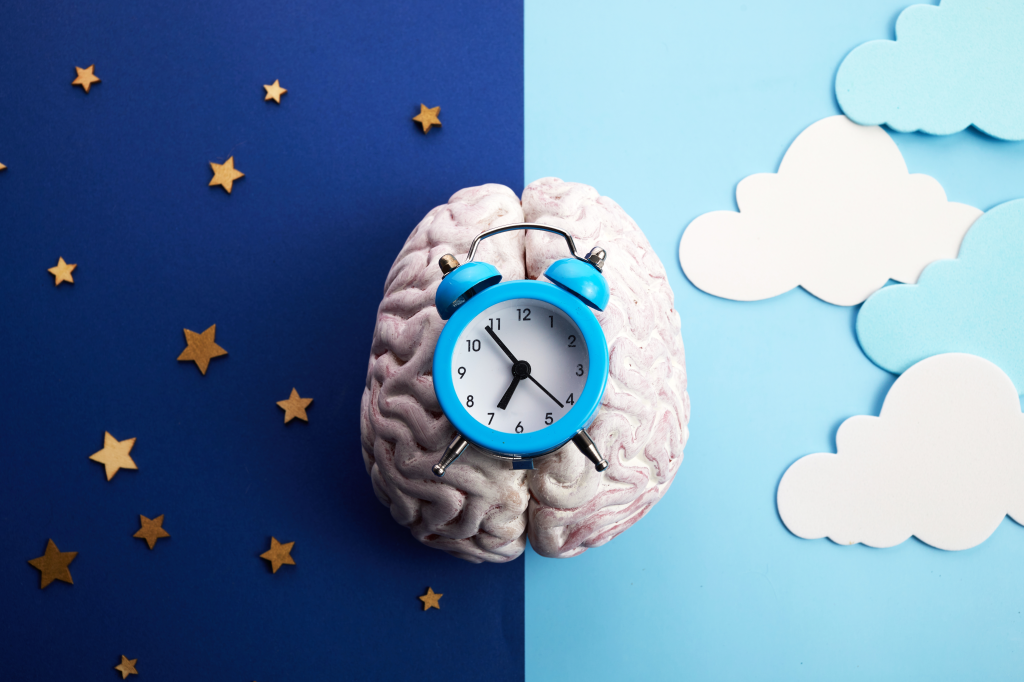 Day and night sleep cycle concept with alarm clock
